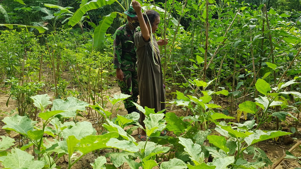 Sulimah, Manfaatkan Lahan Kosong Jadi Kebun Sayuran