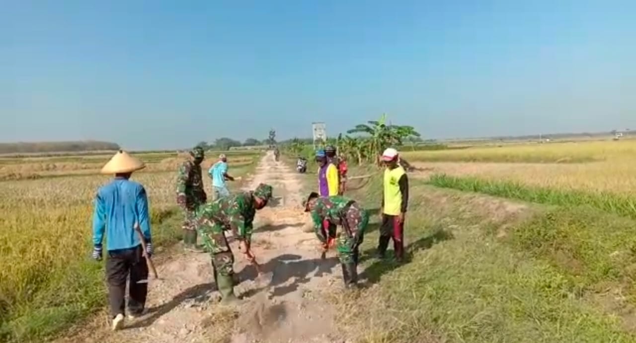 Penimbunan Sasaran Pokok TMMD Reguler 111 Kodim Pati Terus Dikebut