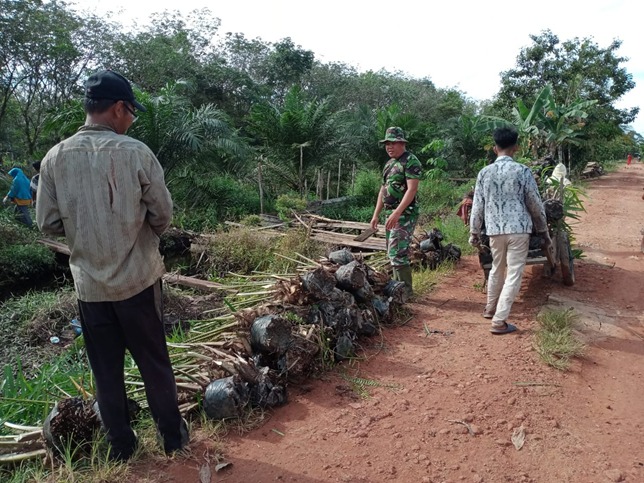 Anggota Satgas TMMD Ke-111 Kodim 1207/ Pontianak Bantu Warga Siapkan Bibit Sawit