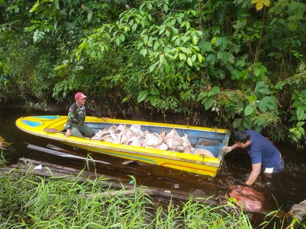 Gunakan Fasilitas Yang Ada, Satgas TMMD Ke-111 Kodim 1207/Pontianak Angkut Batu Koral Dengan Sampan
