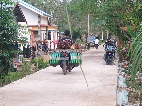 Pemanfaatan Jalan Oleh Petani Sawit di Lokasi TMMD Ke-111 Kodim 1207/Pontianak