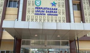 WhatsApp Image 2025-11-05 at 10.34.53